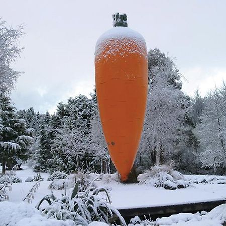 Dakune Chalet Ohakune Bagian luar foto